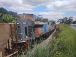VLI 8431